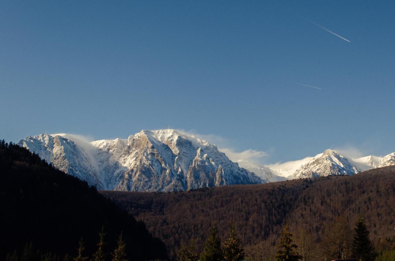 Skyline Villa Азуга Екстериор снимка